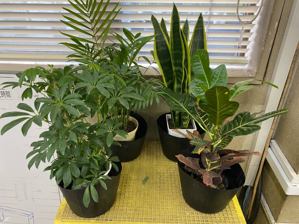 野沢園スタッフblog